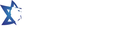 MMA ISRAEL